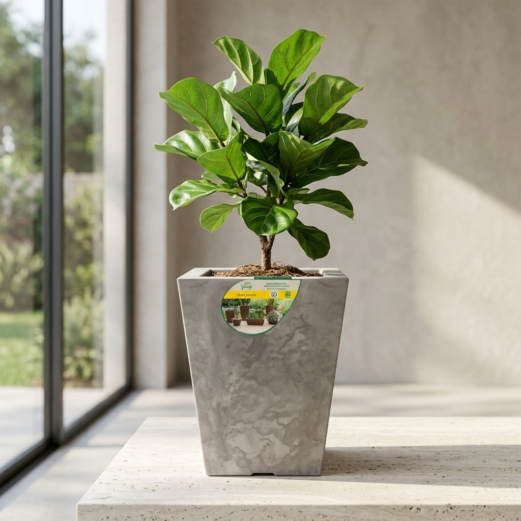 Maceta Joinville 17x30 Marmoato Blanco