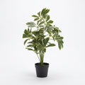 ARTIFICIAL SCHEFFLERA